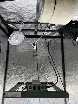IMG_2602.jpeg