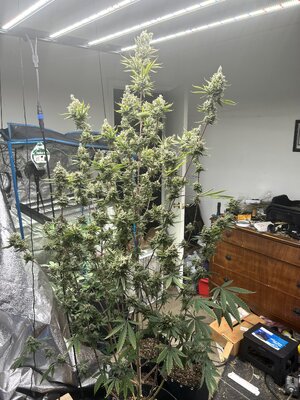 IMG_3825.jpeg