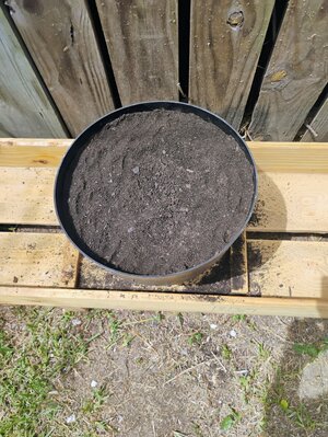 IMG_20250420_120617096_AE.jpg