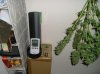 Harvest NL#1 and SR# 13 Weeks 005.jpg