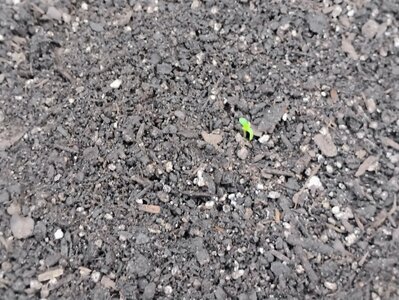 IMG_20250425_192323255_AE.jpg
