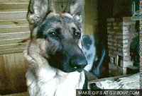 1746151668061.gif