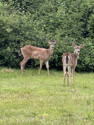 IMG_4087.jpeg