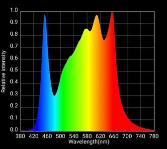 A704B0DB-B7BE-4A44-9A02-AB92B7152F1D.jpeg A704B0DB-B7BE-4A44-9A02-AB92B7152F1D.jpeg
