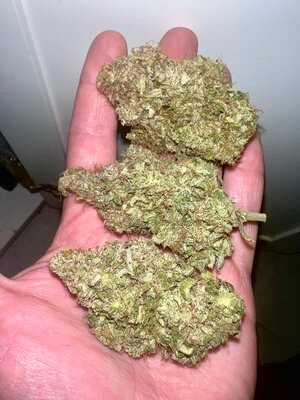 IMG_7190.jpeg