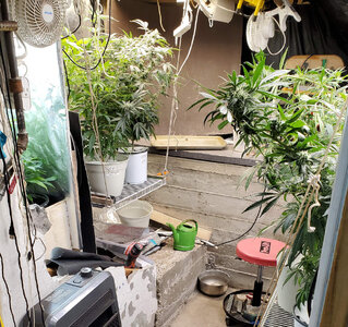 setup_20250427.jpg