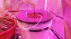 20140117_135316.jpg