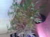 20140119_125251.jpg