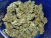 CreamMandarineAutoGrow 079.jpg