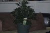 DSC_0020_NEF_shotwell.jpg