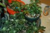 DSC_0057_NEF.jpg