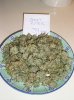 NL-SR Cure Jars 002.jpg NL-SR Cure Jars 002.jpg