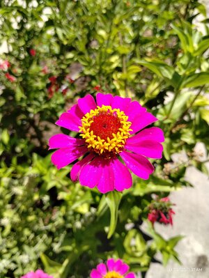 IMG_20250707_113723897.jpg
