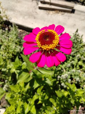 IMG_20250707_113833467.jpg