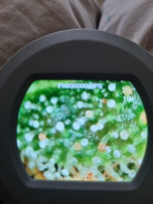20250709_110238.jpg