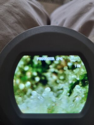 20250709_110305.jpg