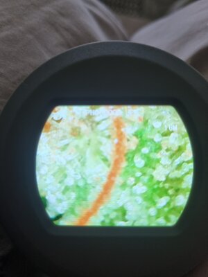 20250709_110343.jpg