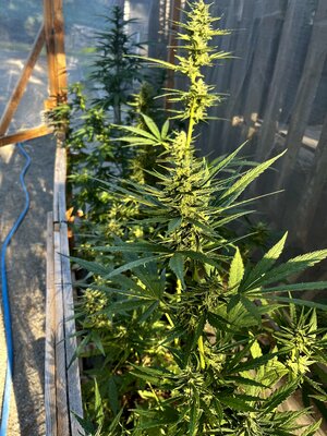 IMG_8760.jpeg