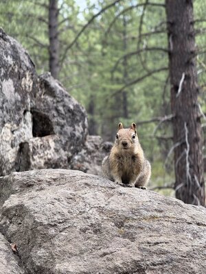 IMG_2134.jpeg