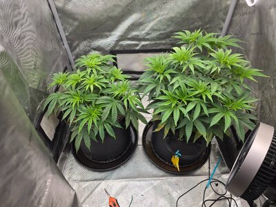 20250903_113017.jpg 20250903_113017.jpg