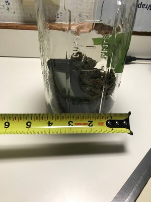 IMG_1614.jpeg