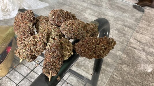 486573889_3929118674023695_1036159252120743146_n.jpg 486573889_3929118674023695_1036159252120743146_n.jpg