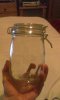 jar.jpg