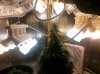 IMG_20140122_172626.jpg