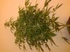 20140123_214136.jpg
