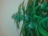 20140123_214020.jpg