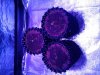 20140124_100249.jpg