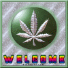 420welcome.gif