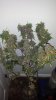 20140125_091610.jpg