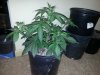 1-25-14 full.jpg