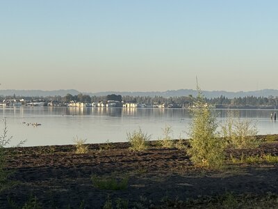 IMG_5680.jpeg