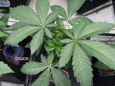 3 days later - 8.jpeg