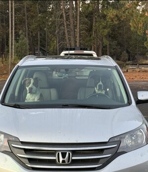 IMG_5923.jpeg