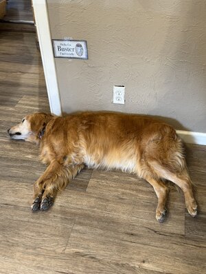 IMG_5929.jpeg IMG_5929.jpeg