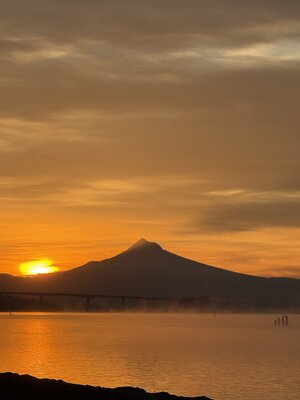 IMG_6167.jpeg
