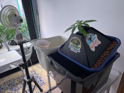 test grow - 3.jpeg