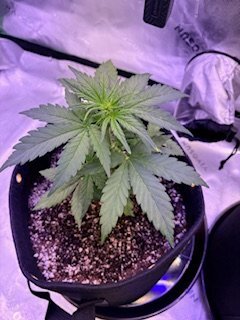 IMG_0123.jpeg