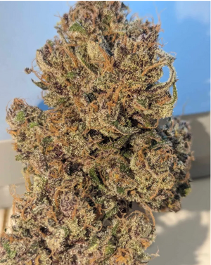 Intergalactic Space Fuck.png