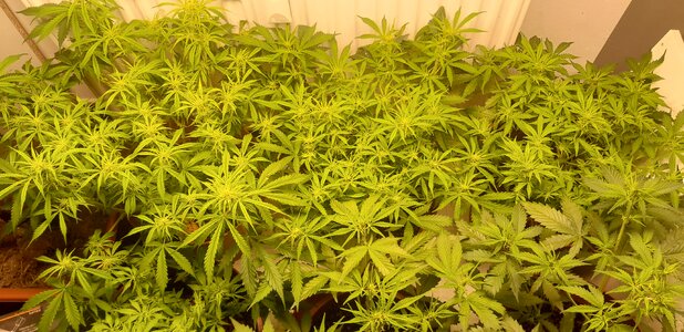 Week 8 - more investments 9/28-10/4