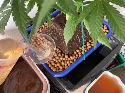 mondo.bruce.creamix - 1.jpeg