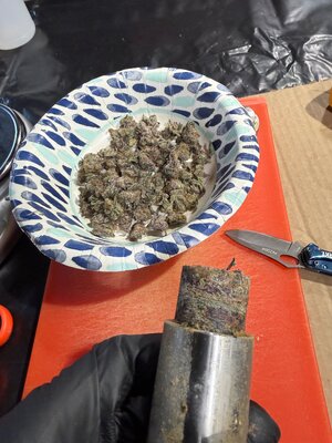 IMG_6480.jpeg IMG_6480.jpeg