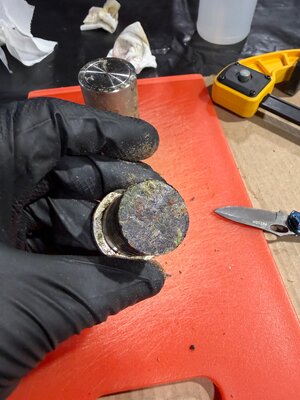 IMG_6486.jpeg IMG_6486.jpeg