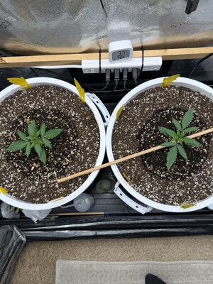 IMG_6543.jpeg IMG_6543.jpeg