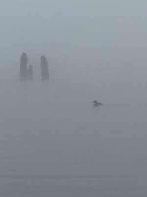 IMG_6620.jpeg IMG_6620.jpeg