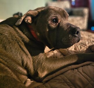 20251123_073631.jpg 20251123_073631.jpg