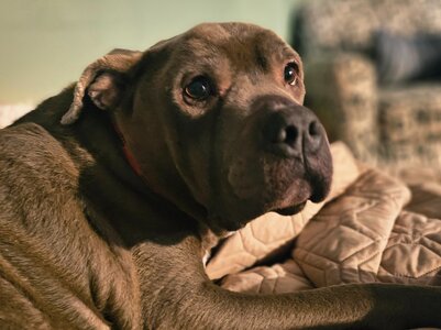 20251123_073635.jpg 20251123_073635.jpg